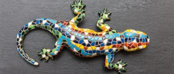 Гекони можуть регенерувати частини свого мозку