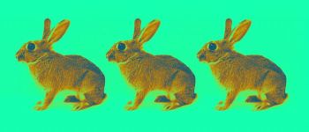 Прорив в області генної інженерії може позбавити ссавців здатності розмножуватися