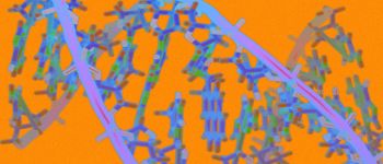 Генна терапія дозволяє хлопчику з м'язовою дистрофією знову ходити