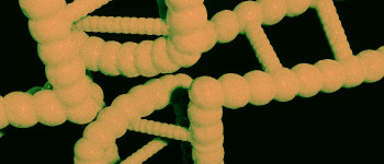 Генна інженерія змушує паралізованих мишей знову ходити