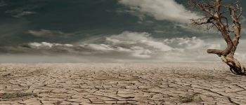 Гугл об'єднується з ООН для вивчення наслідків зміни клімату