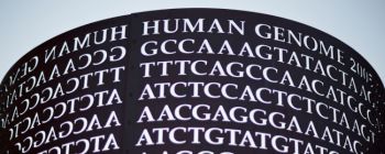 Гугл випустив інструмент штучного інтелекту, який аналізує ваш геном