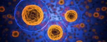 Новаторська робота «омолоджує» старі клітини