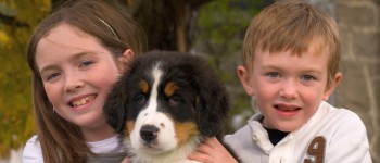 Наявність собаки може покращити психічне здоров'я підлітків