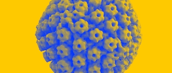 Герпес може змусити вас захворіти на хворобу Альцгеймера раніше