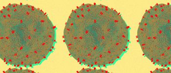 Перша у своєму роді терапія ВІЛ витягує вірус, а потім вбиває його