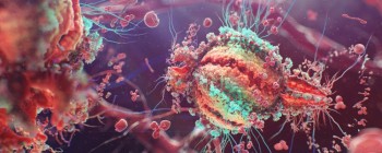 Сайт сприяв падінню темпів поширення ВІЛ-інфекції на 40%