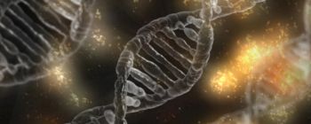 Домашні генетичні тести можуть давати вам помилкові результати