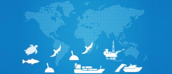 Флот крихітних супутників буде відслідковувати мільйони тварин