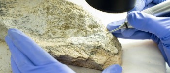 Предки людини виготовляли найдавніші відомі знаряддя з кістки 1,5 мільйона років тому