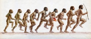 Люди еволюціонували для бігу на довгі дистанції, але наш предок «Люсі» не бігав далеко і швидко