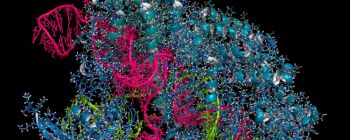 Діагностичний інструмент на основі КРІСПРу може виявляти генетичні мутації та інфекції