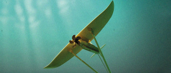 Геніальні пристрої витягують енергію з океанських припливів