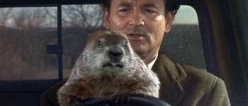 Замість того, щоб передбачити тривалість зими, бабак просто вмер