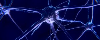 Нав'язливі думки можуть бути викликані браком певної хімічної речовини