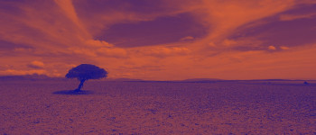 Цей липень офіційно став найспекотнішим місяцем в зареєстрованій історії