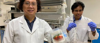 Зберігайте продукти свіжими за допомогою цієї упаковки, яка вбиває бактерії 