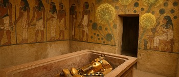 Гриб-вбивця з гробниці фараона Тутанхамона виправдовує себе як потужний засіб проти раку