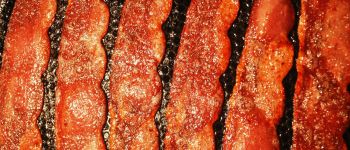 Лабораторно вирощений бекон вже є