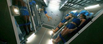 Вченим вдалося ввести мишей в стан анабіозу