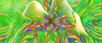 «Чарівні гриби» можуть замінити антидепресанти