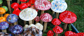 Галюциногенні гриби допомогли 83% пацієнтів позбутися надмірного вживання алкоголю