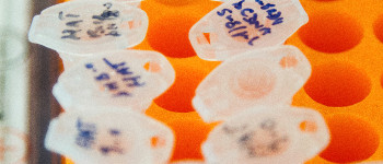 Чоловіка звинувачено в згвалтуванні після завантаження ДНК на генеалогічний сайт