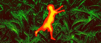 Тепло-пошуковий безпілотник допоміг знайти зниклу дитину