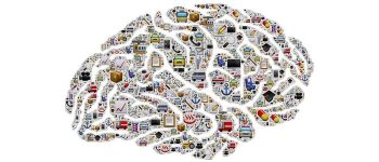 Вчені знайшли докази того, що спогади в мозку фізично рухаються