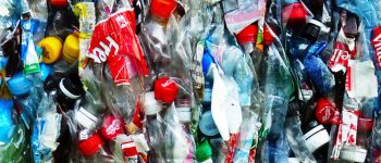 Мікропластик вже знаходяться в наших організмах