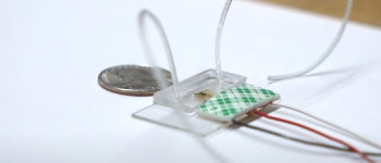 Біосенсор виявляє антитіла до коронавірусу всього за секунди