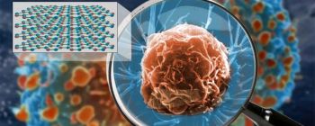 Наноскопічна гіперлінза з натурального кристалу покаже нам віруси на поверхні клітин