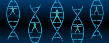 Нове відкриття в області старіння може дозволити людям продовжити термін їх життя