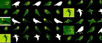 Новий штучний інтелект може створити 3Д модель об'єкта з одного 2Д зображення