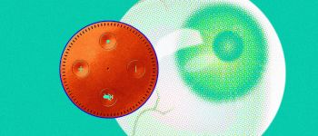 Новий додаток повідомляє, коли ваш розумний пристрій шпигує за вами