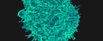 Нові дослідження раку націлені на лікування тих, у кого немає інших варіантів