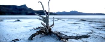 Виходить новий звіт про зміни клімату, не зважаючи на думки Трампа