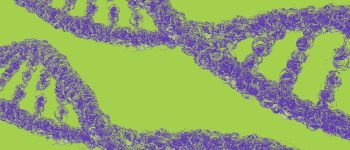 Нова технологія КРІСПР може вилікувати герпес