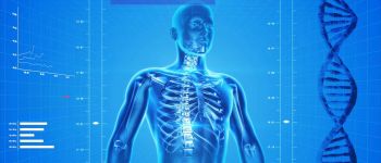 Нова генна терапія може зшити пошкоджений спинний мозок