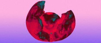 Нове дослідження Гарварду може стати кроком до регенерації кінцівок людини