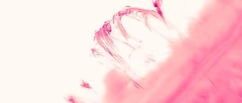 Нова техніка візуалізації робить Сонце як прядіння рожевої рідини