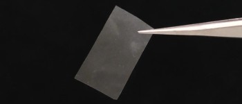 Новий матеріал, виготовлений з грибів, є біорозкладним, їстівним... і живим