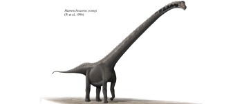 Відкрито новий вид травоїдних динозаврів