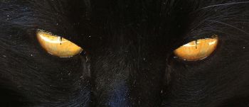 Новий квантовий пристрій може «генерувати всі можливі варіанти майбутнього»