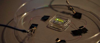 Нові розумні татуювання мають вбудовану підсвітку