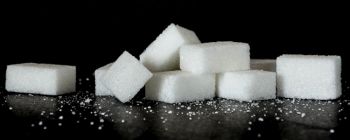 Нове дослідження наближує нас до можливості заморити голодом ракові клітини