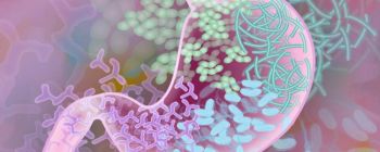 Нове дослідження показує, як ваші кишкові бактерії можуть впливати на занепокоєння