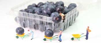 Нова терапія перетворює пухлини в «фабрики протиракових вакцин»