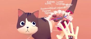 Нова демонстрація віртуальної реальності покаже вам нутрощі кішки