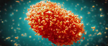 Нью-Йорк оголошує надзвичайний стан через зростання кількості заражень мавпячою віспою